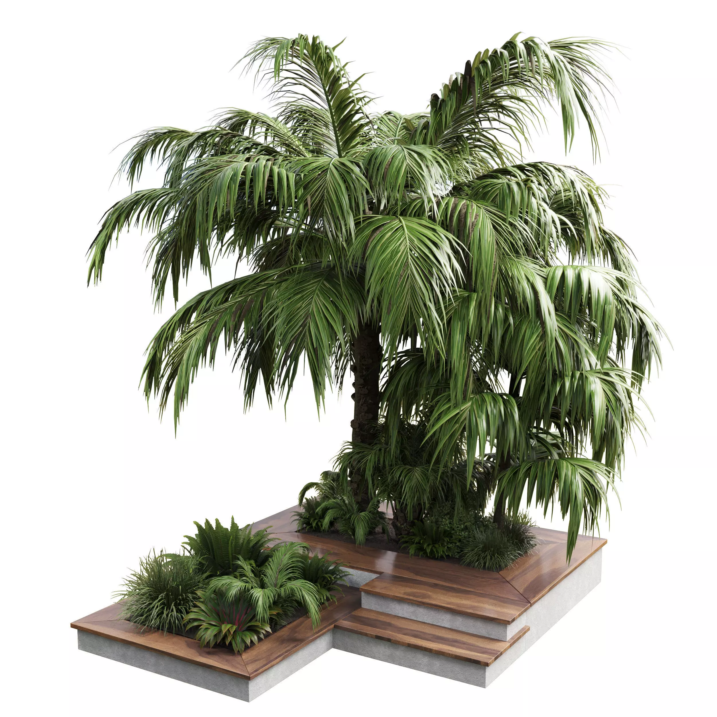Outdoor plant garden pot tree palm bush fern grass vase 3D model