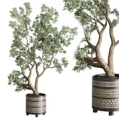 Indoor plant 83 vase handmade pottery tree pot