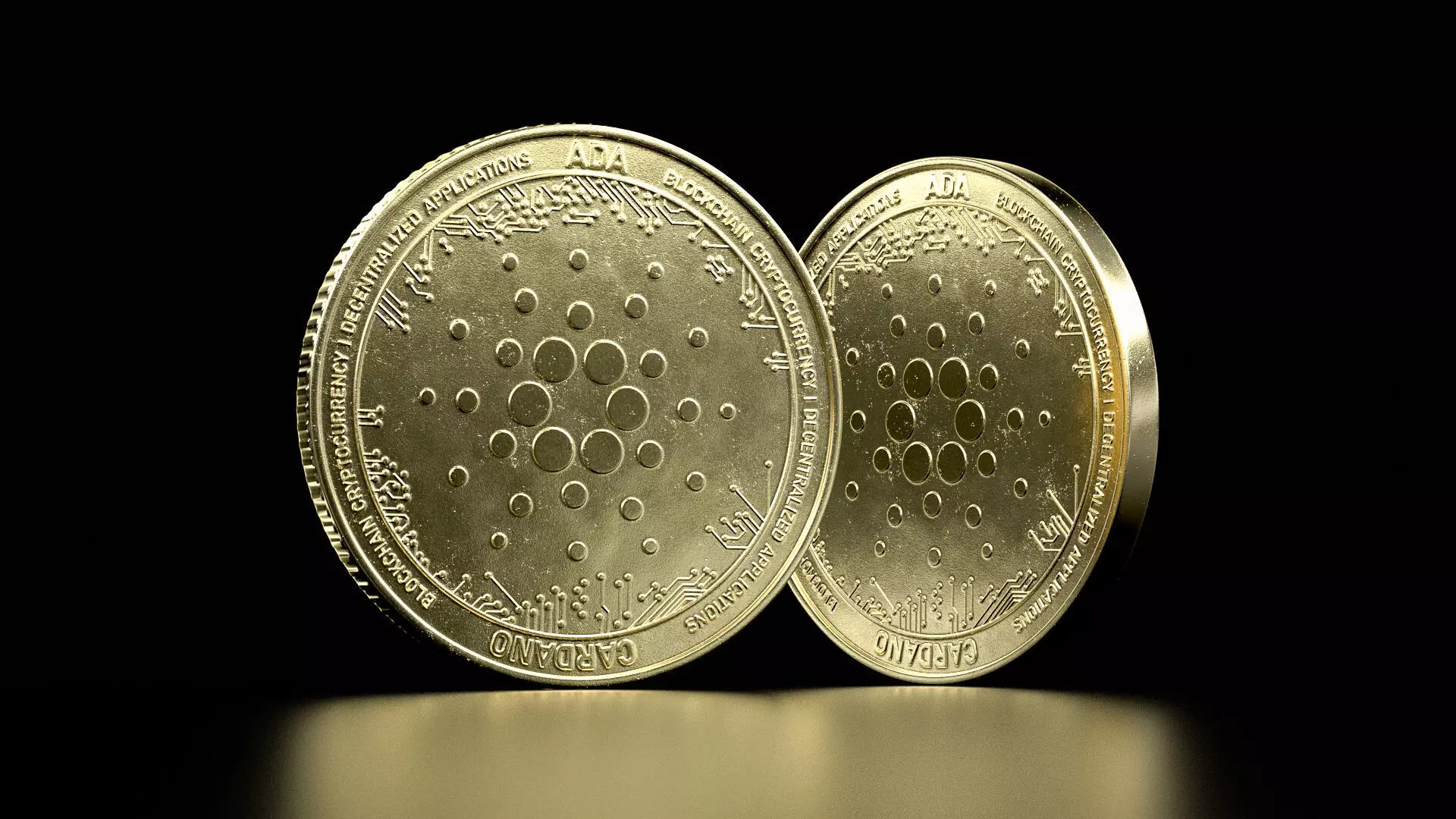 Cardano high details 8K PBR Low-poly 3D model_0