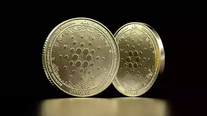 Cardano high details 8K PBR