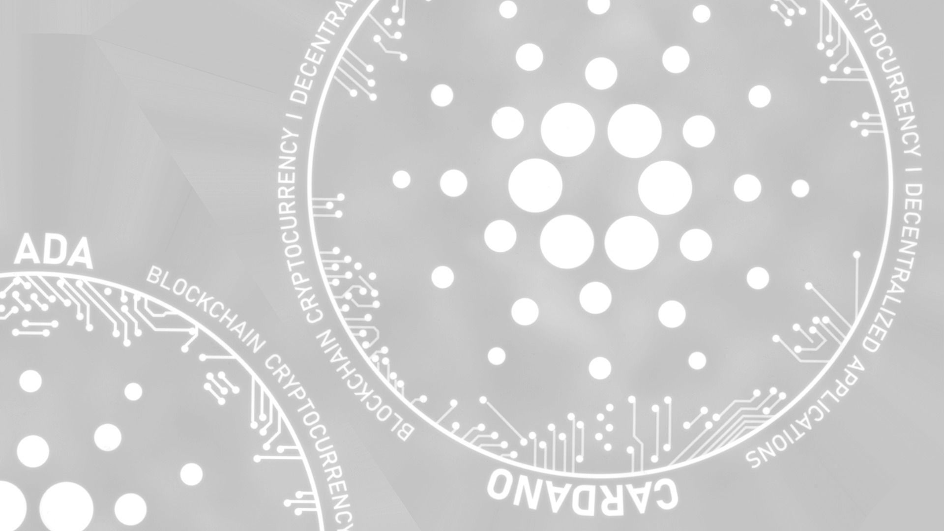 Cardano high details 8K PBR Low-poly 3D model_11