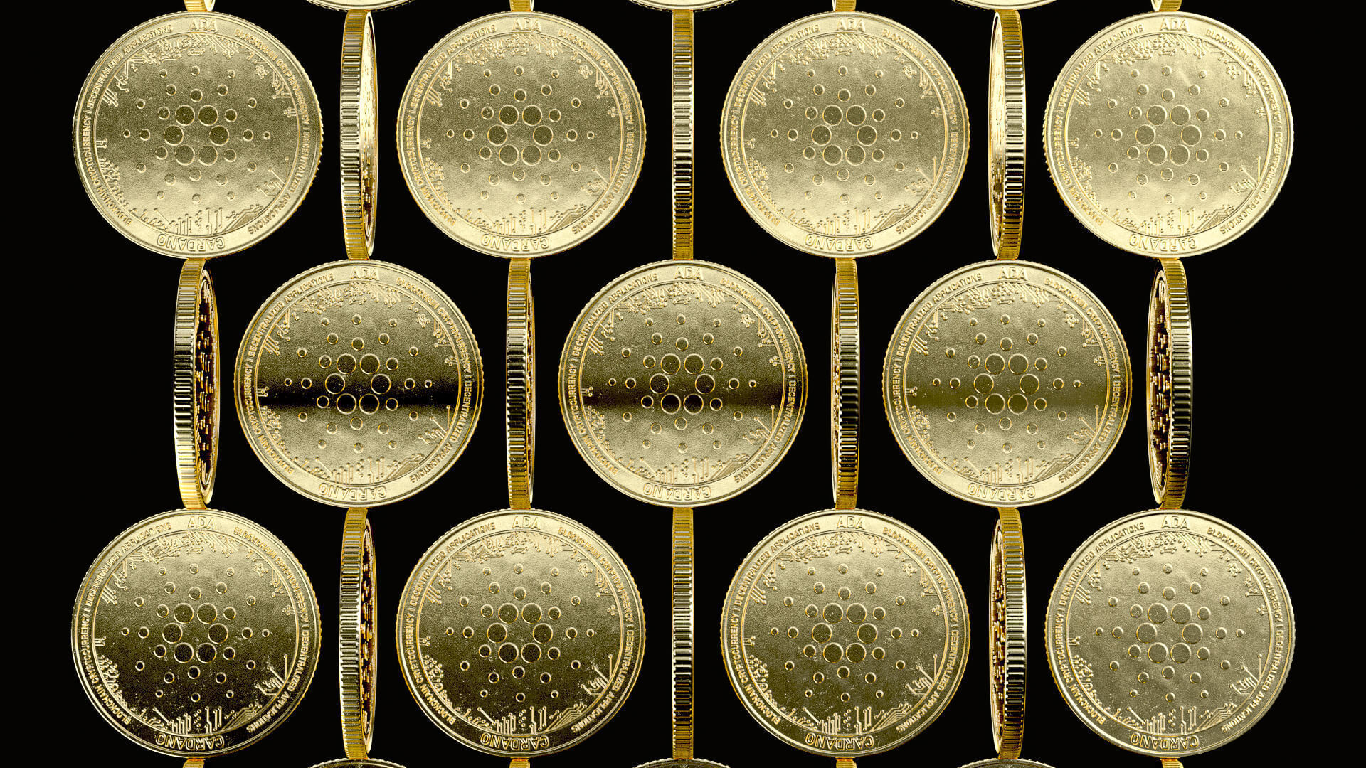 Cardano high details 8K PBR Low-poly 3D model_5