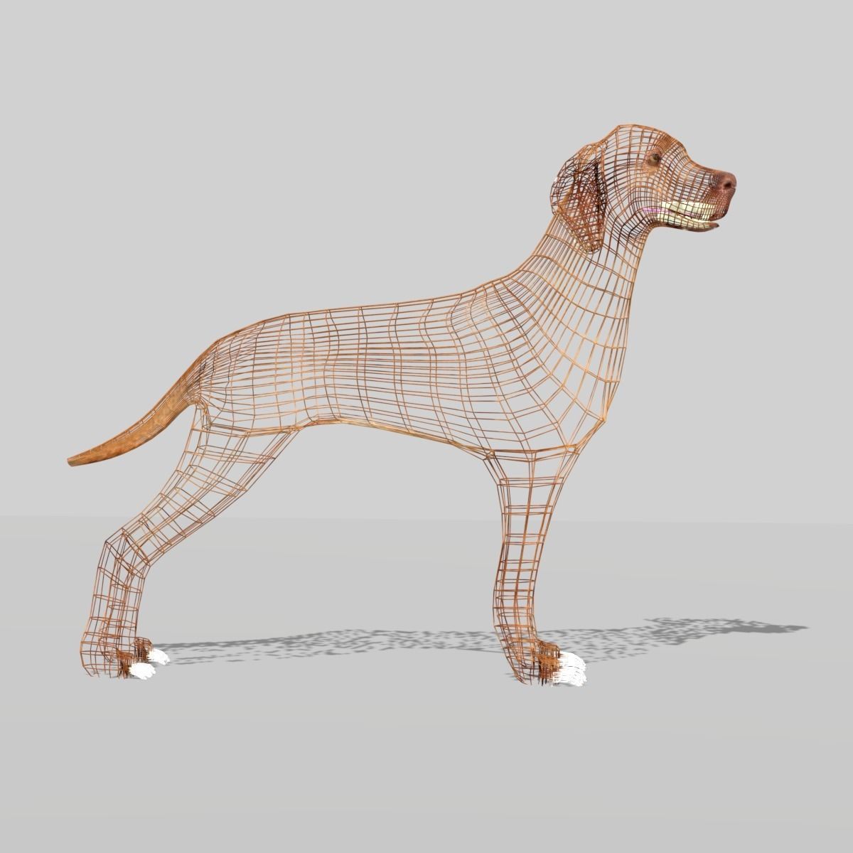 hungarian vizsla dog Low-poly 3D model_4