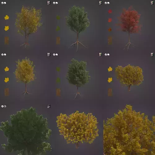 2021 PBR Italian Maple Collection - Acer Opalus  3D model