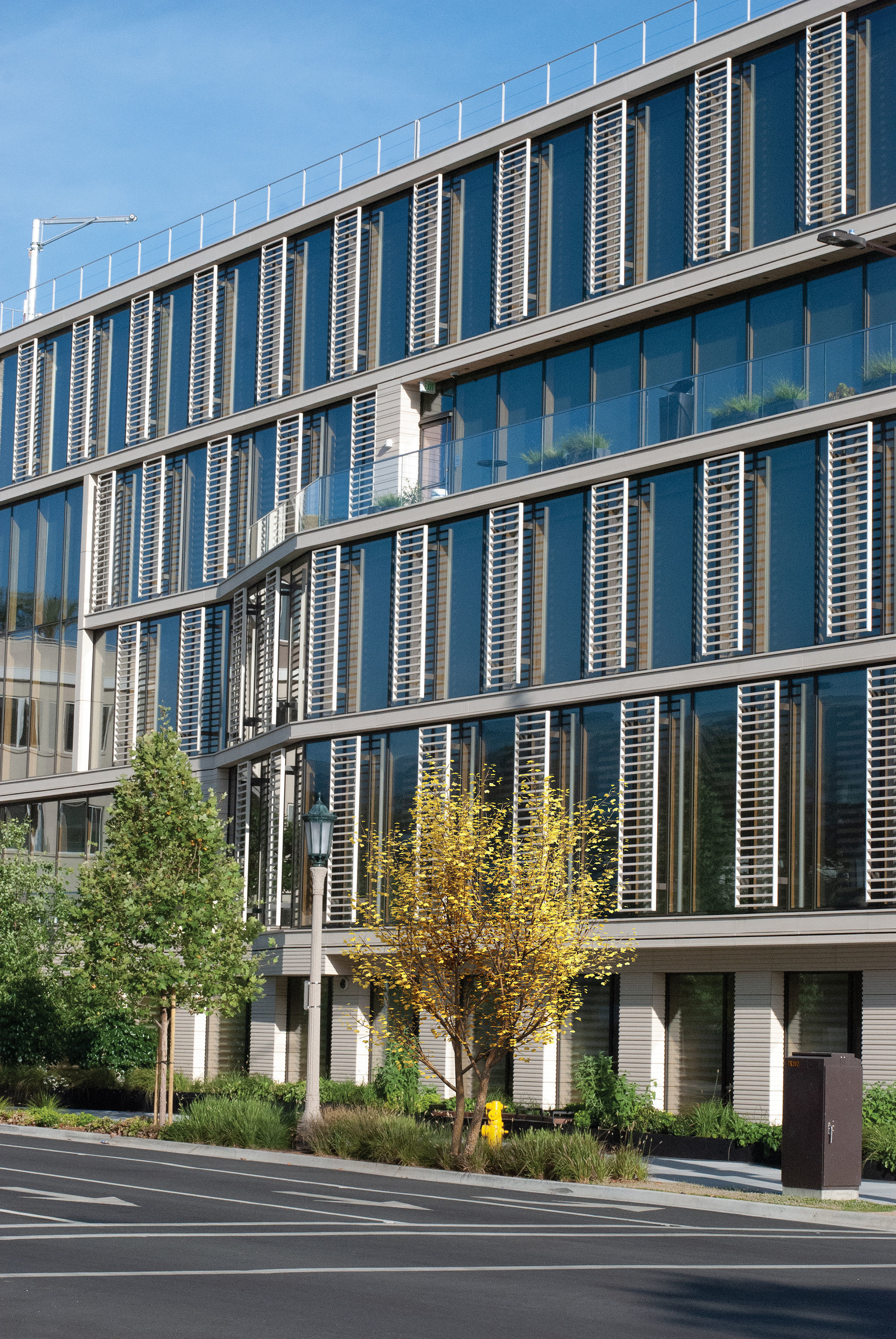 2021 PBR Italian Maple Collection - Acer Opalus 3D model_2