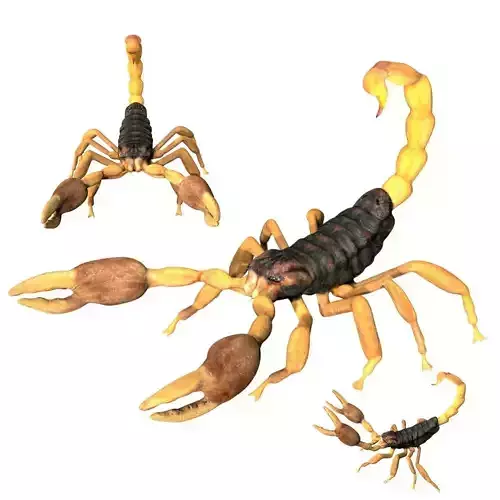 Scorpion Low-poly 3D model