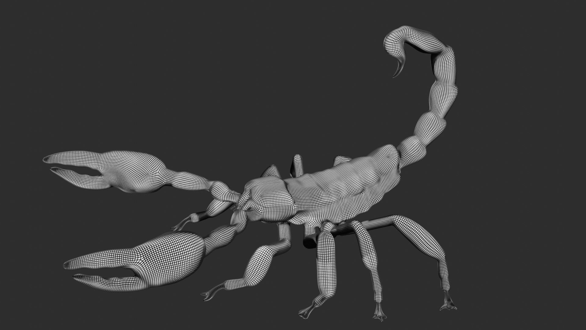 Scorpion Low-poly 3D model_9