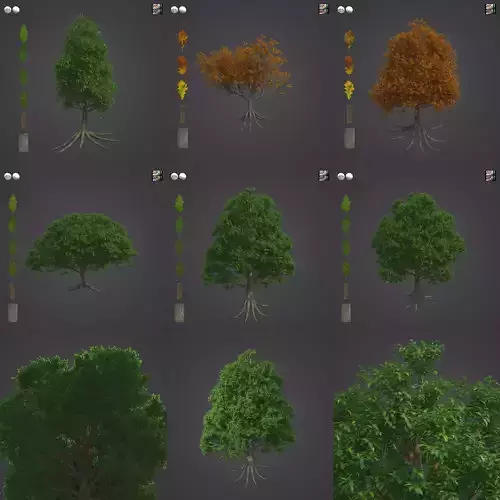 2021 PBR Sessile Oak Collection - Quercus Petraea 