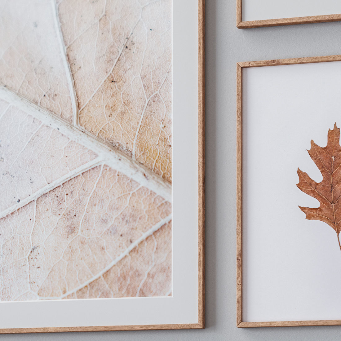 Photo Frames Set  399 3D model_1