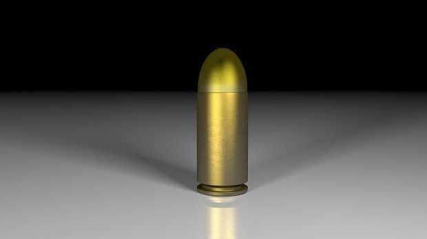 Bullet shell pistol Free 3D model
