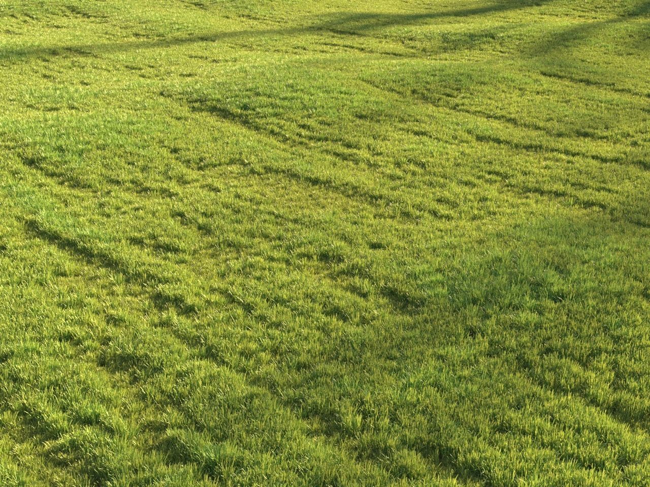 Sunny lawn 3D model_6