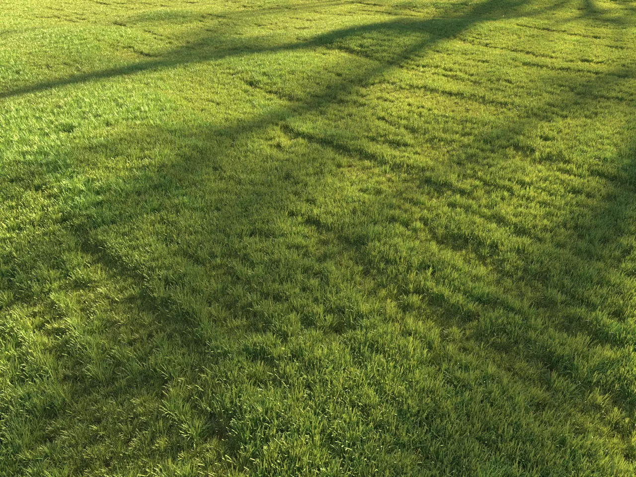 Sunny lawn 3D model_0