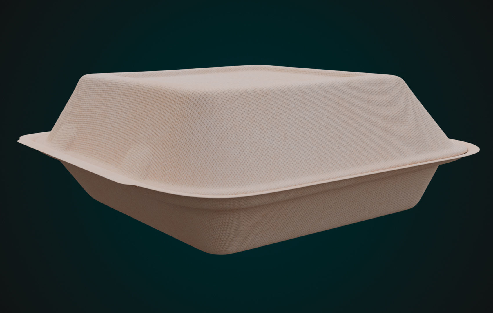 Cardboard Disposable - Food Container 3D model_4