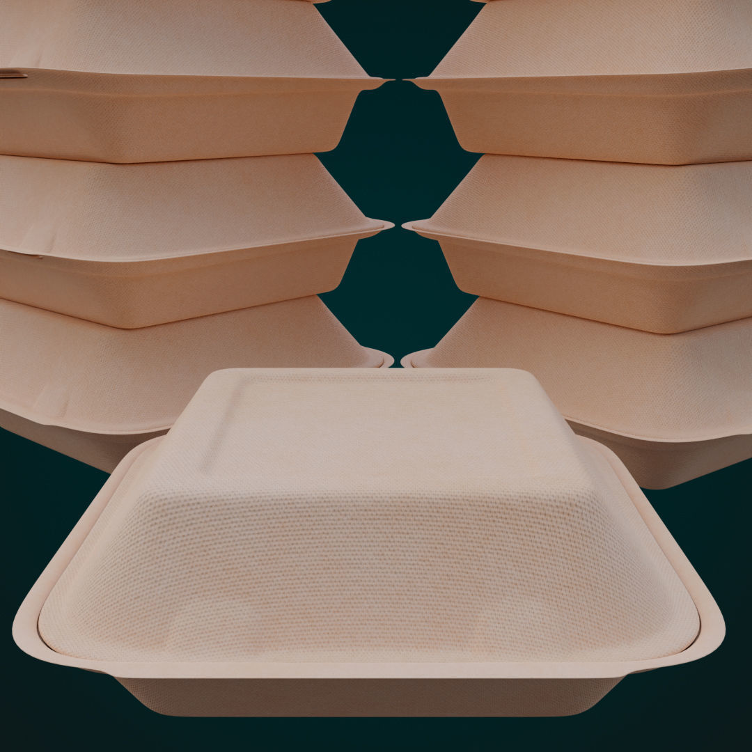 Cardboard Disposable - Food Container 3D model_6