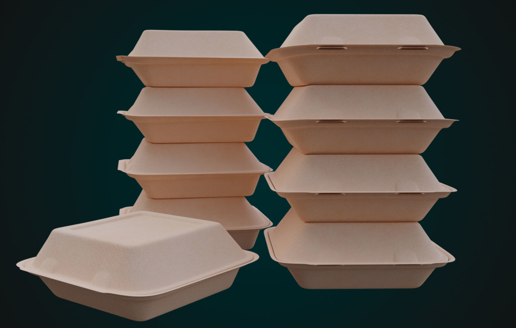 Cardboard Disposable - Food Container 3D model_2