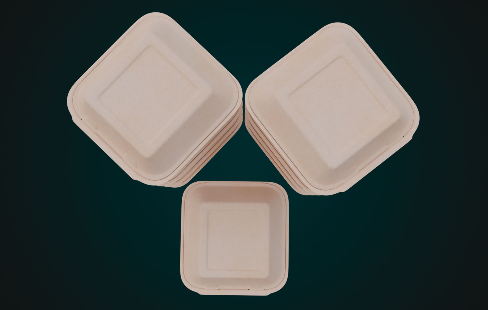 Cardboard Disposable - Food Container 3D model_9