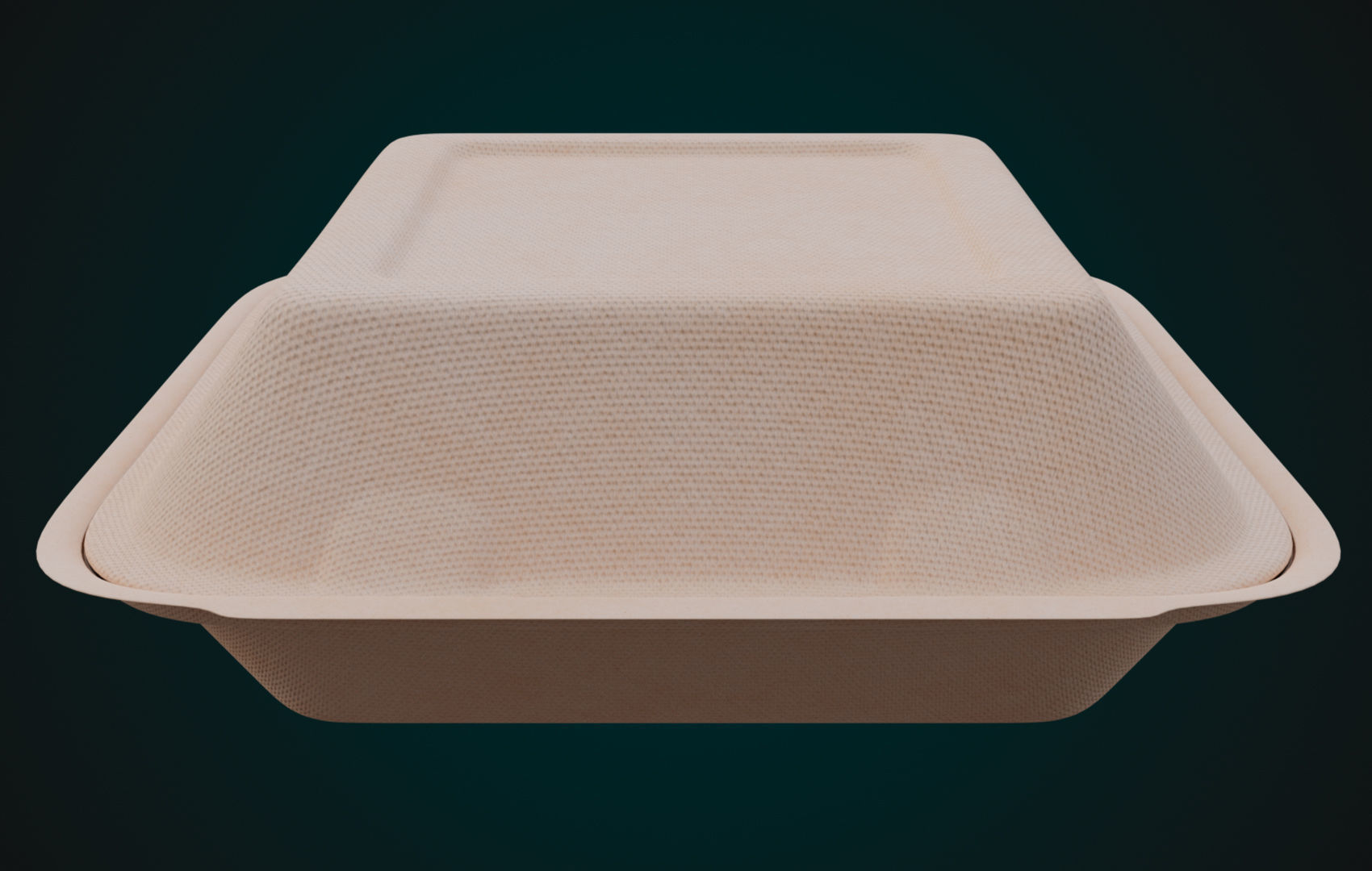 Cardboard Disposable - Food Container 3D model_1