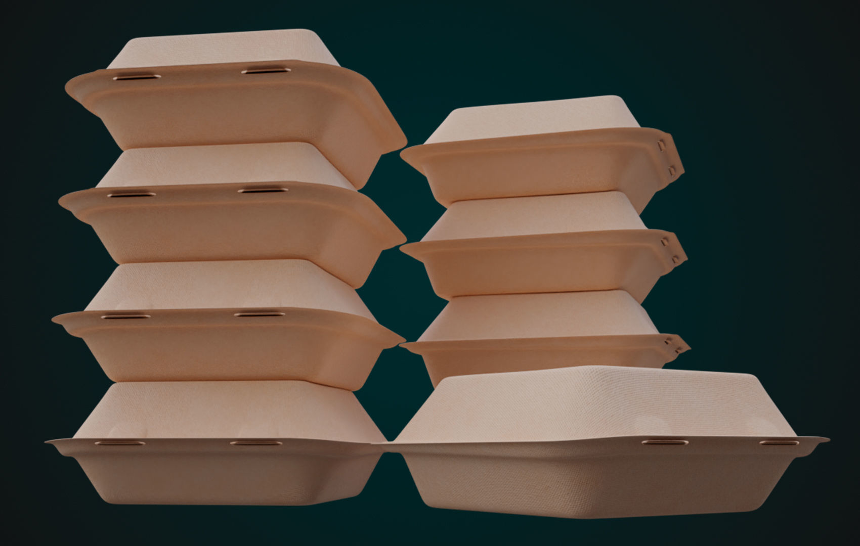 Cardboard Disposable - Food Container 3D model_3