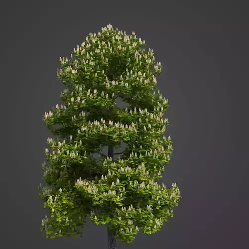 2021 PBR Horse Chestnut Collection - Aesculus Hippocastanum 3D model