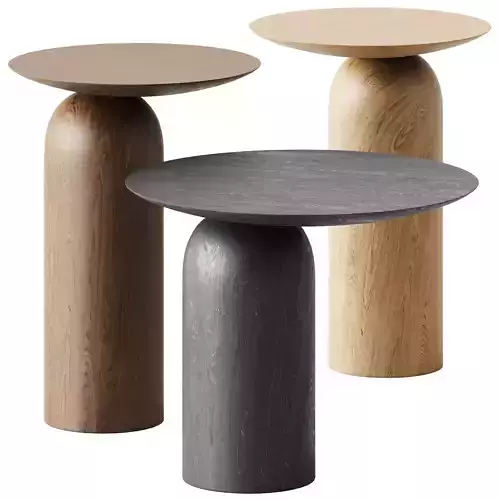 Wooden Coffee Side Table Disco by Basta 3D model