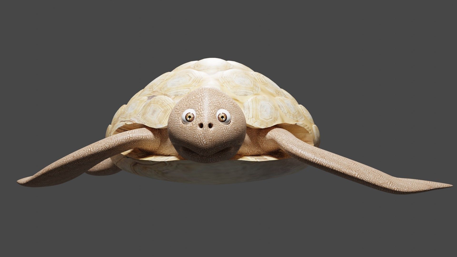 Turtle figurine Free low-poly 3D model_3