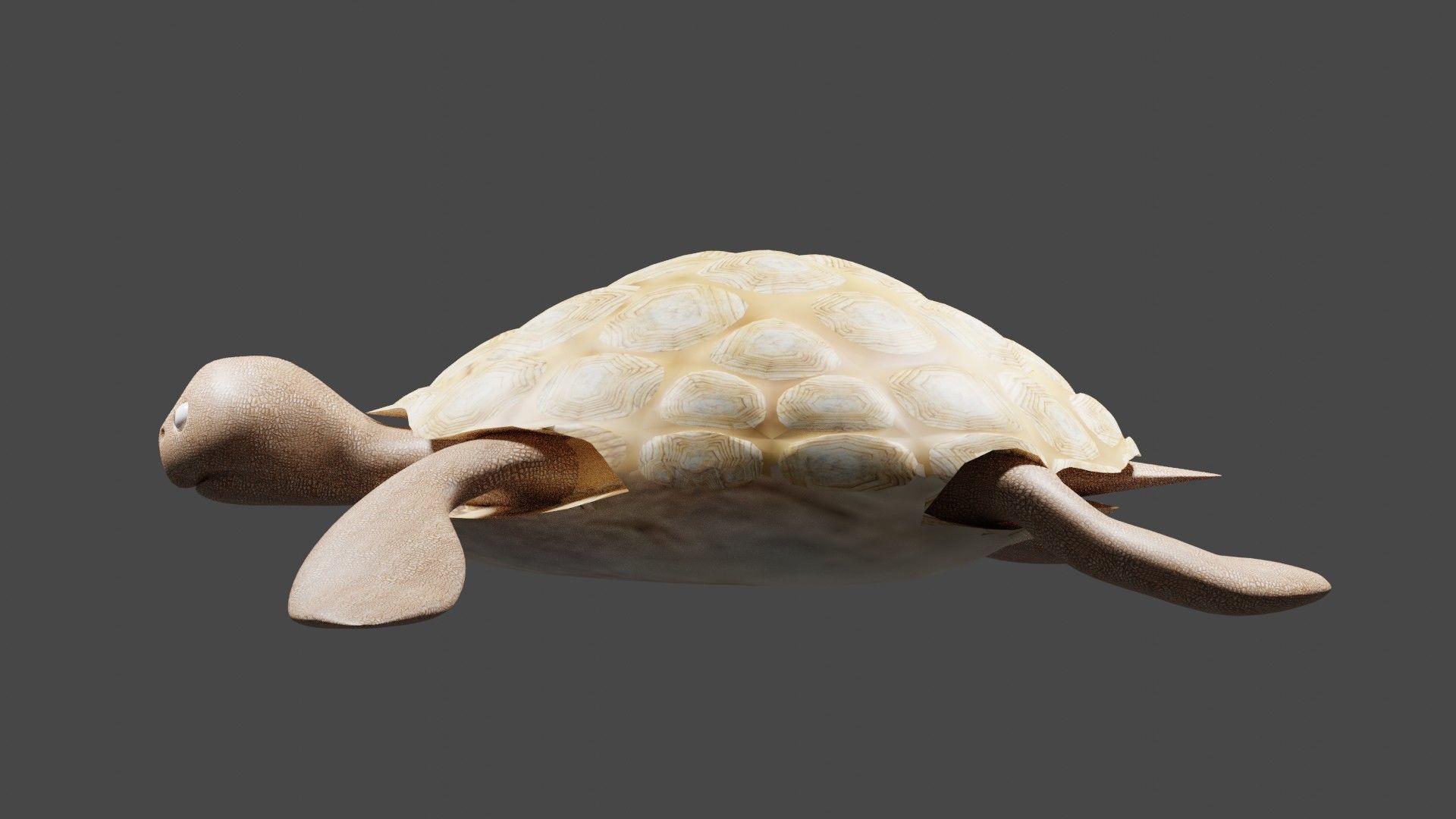 Turtle figurine Free low-poly 3D model_4