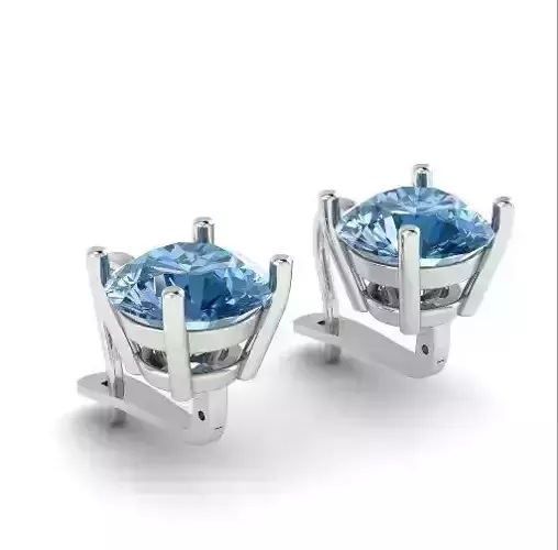 511 Earrings with round stone