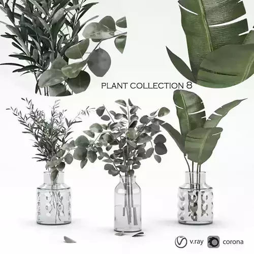 plant collection 8 eb