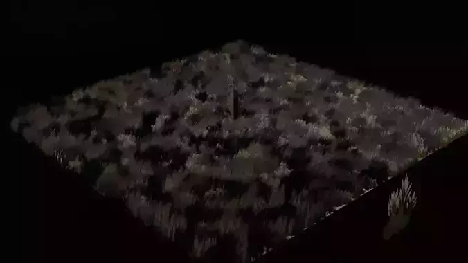 dry land  3D model