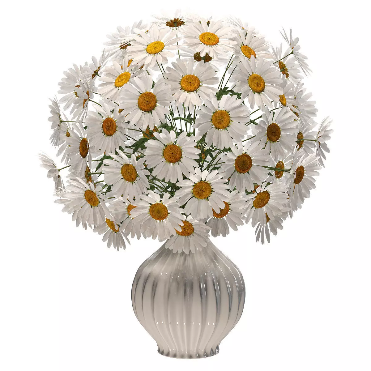 Daisies in a vase v2 3D model