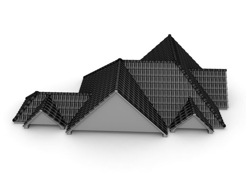 Realistic Roof Shingles 16 3D model_5