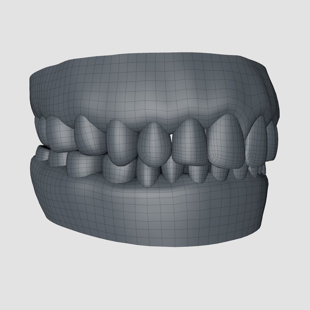Teeth and Mouth  High poly and Low poly Free 3D model_2