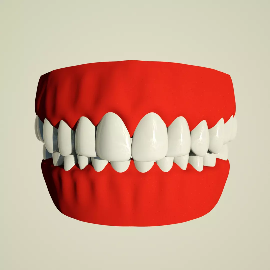 Teeth and Mouth  High poly and Low poly Free 3D model_0