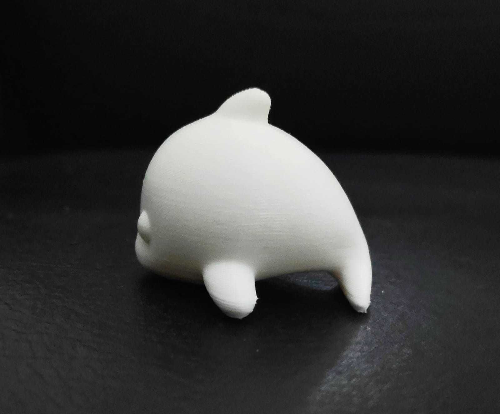 Cute Dolphin 3D print model_3