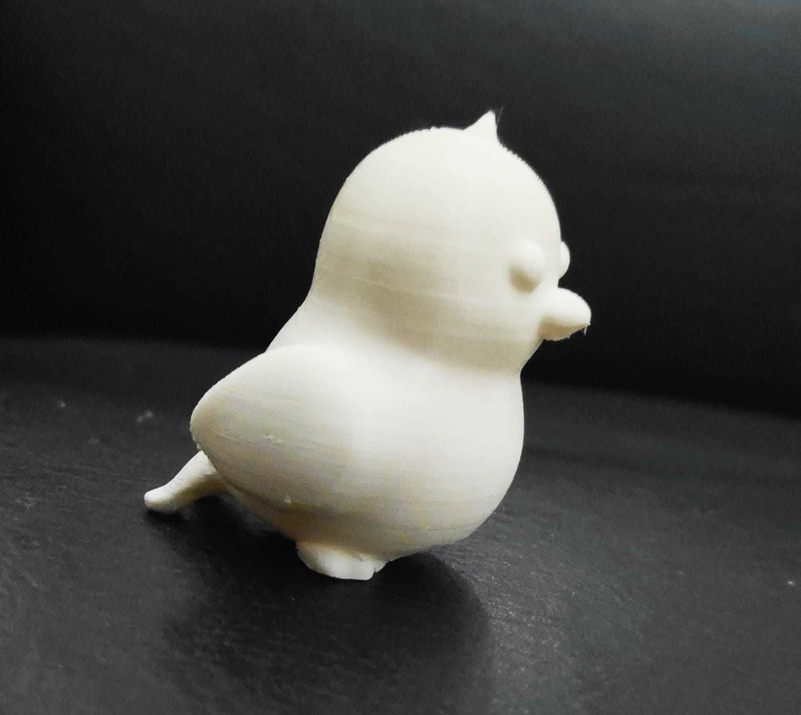 Little Bird 3D print model_9