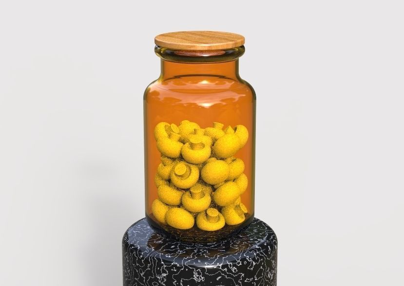 Glass Jar Storage 3D print model_7