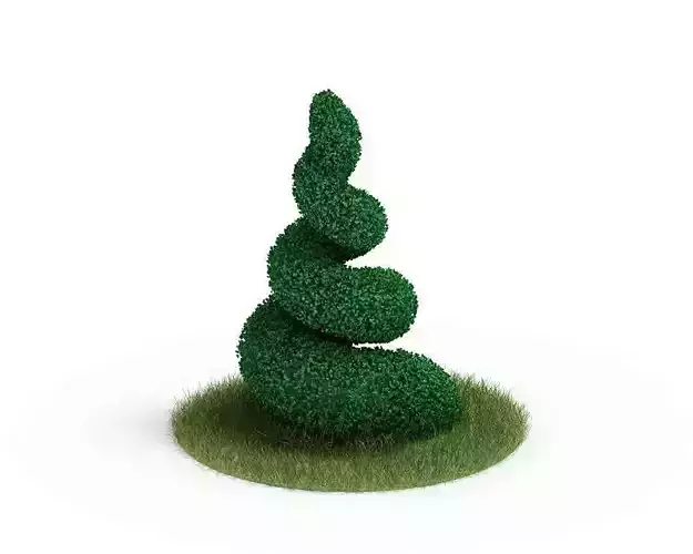 Spiral Plant Topiary