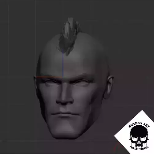 The Punk Head for 6 inch action figures 3D print model