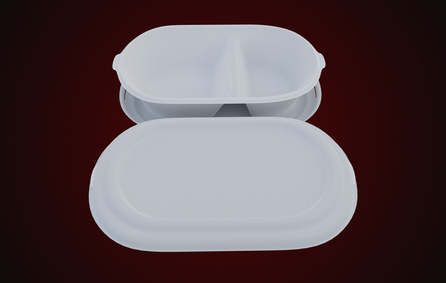 Styrofoam Disposable - Food Container 3D model_32