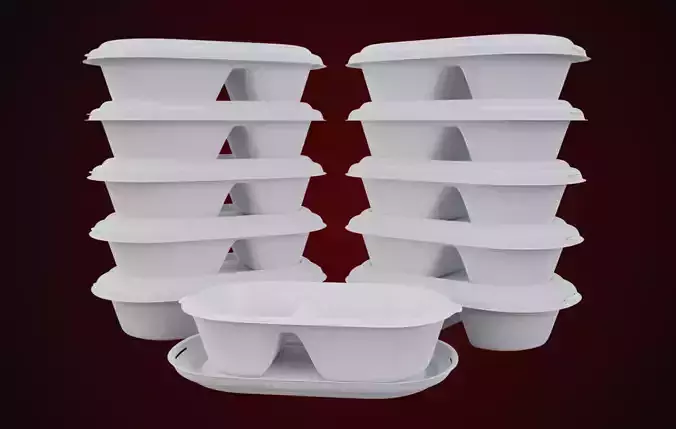 Styrofoam Disposable - Food Container 3D model