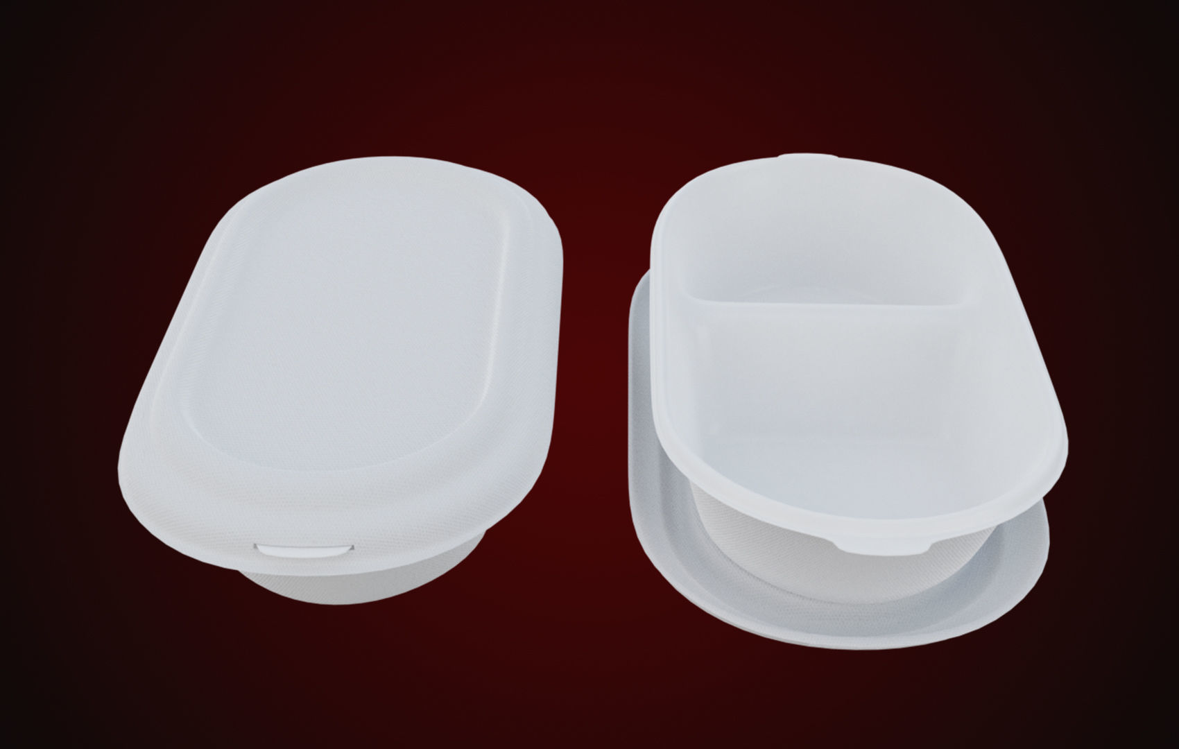 Styrofoam Disposable - Food Container 3D model_11