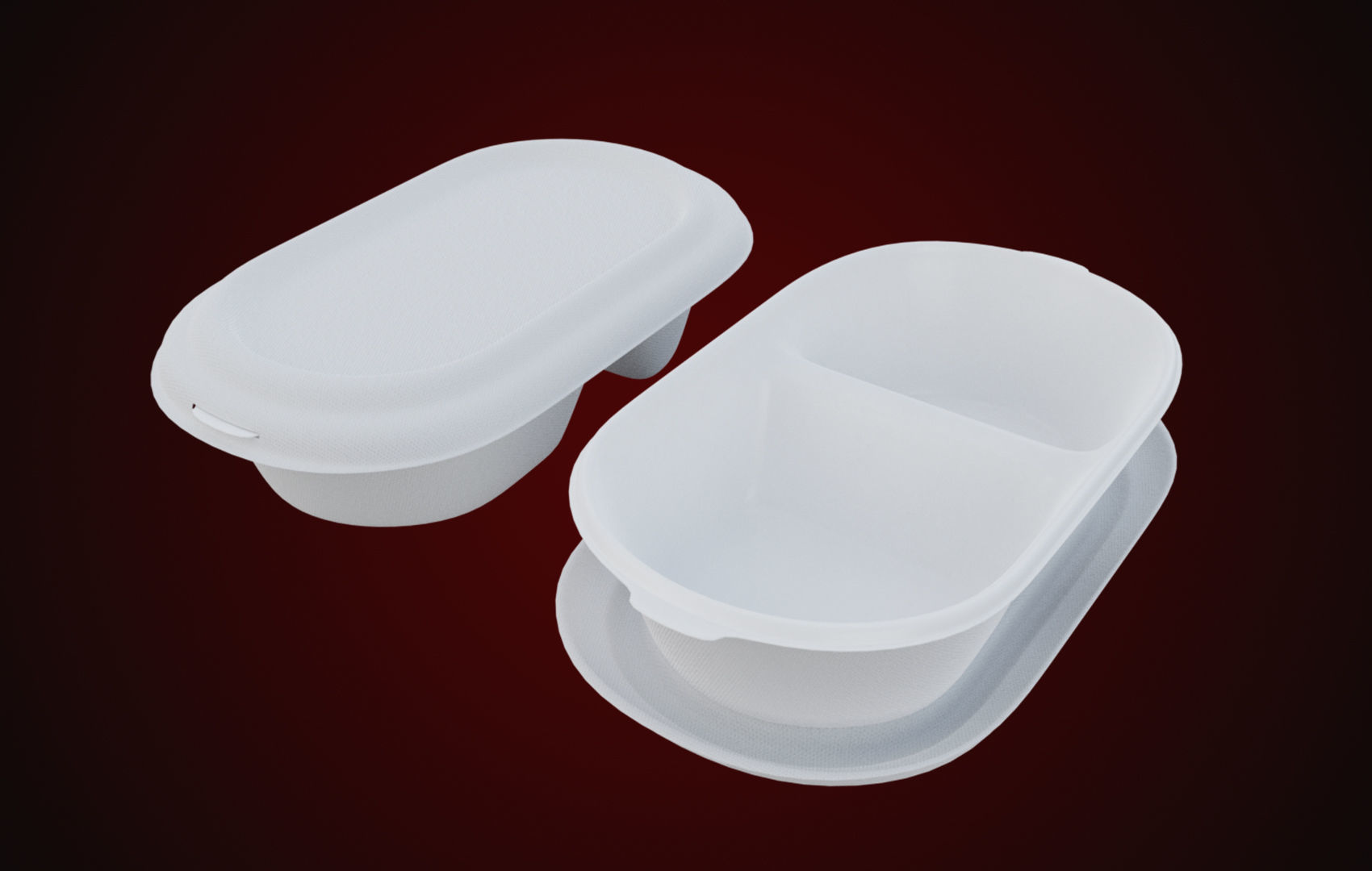 Styrofoam Disposable - Food Container 3D model_40
