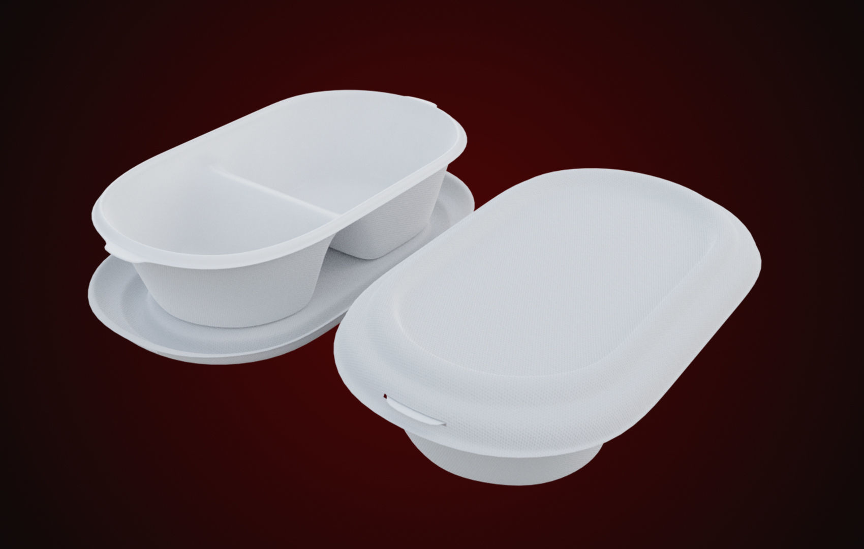 Styrofoam Disposable - Food Container 3D model_33