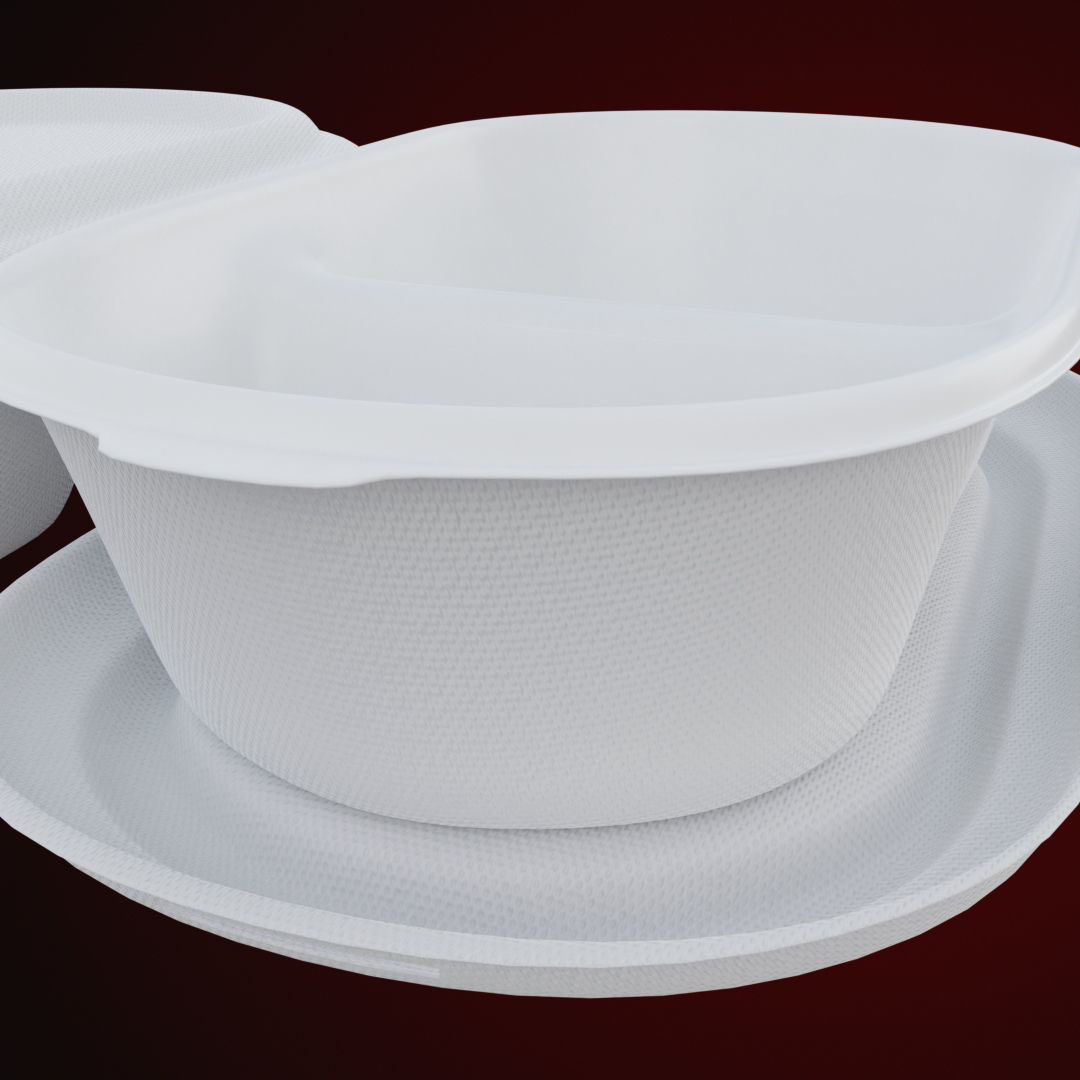 Styrofoam Disposable - Food Container 3D model_1