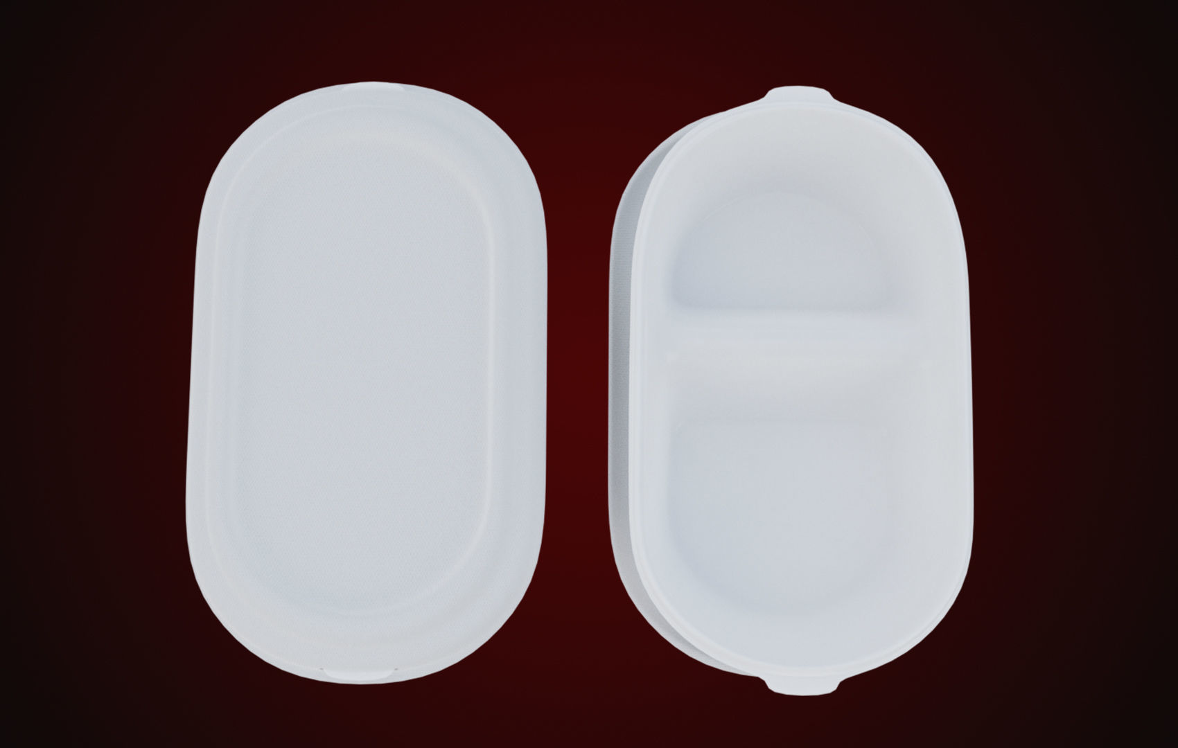 Styrofoam Disposable - Food Container 3D model_39