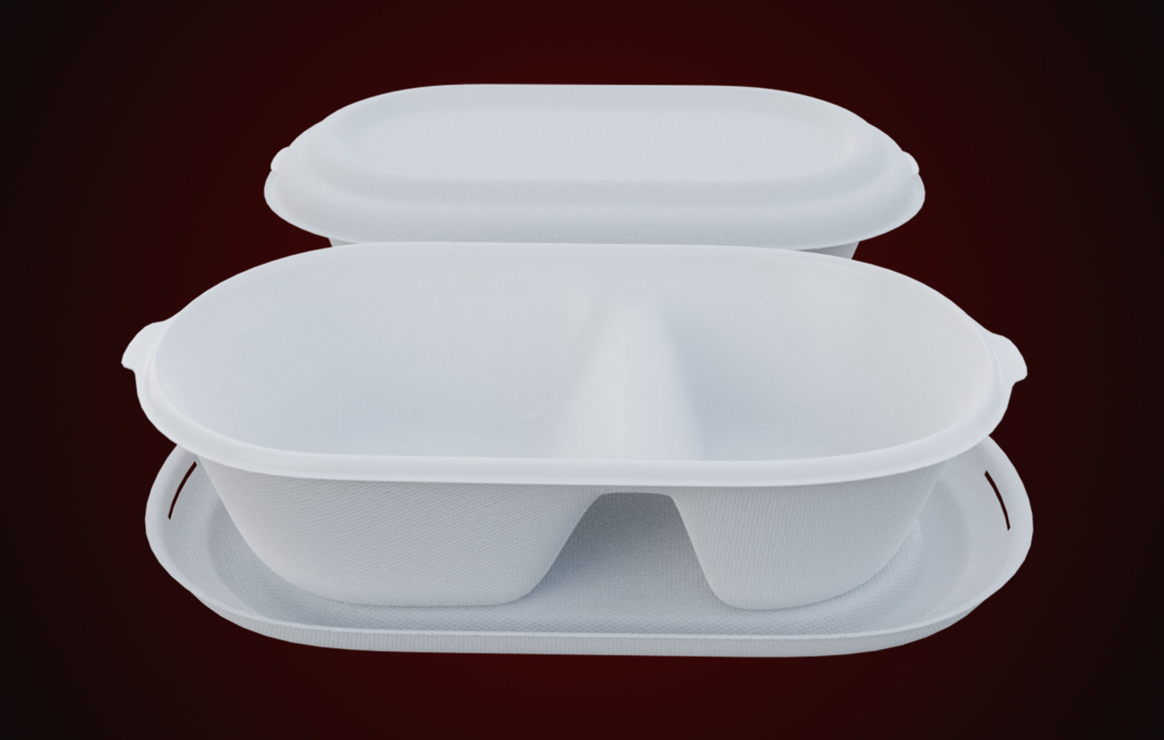 Styrofoam Disposable - Food Container 3D model_3