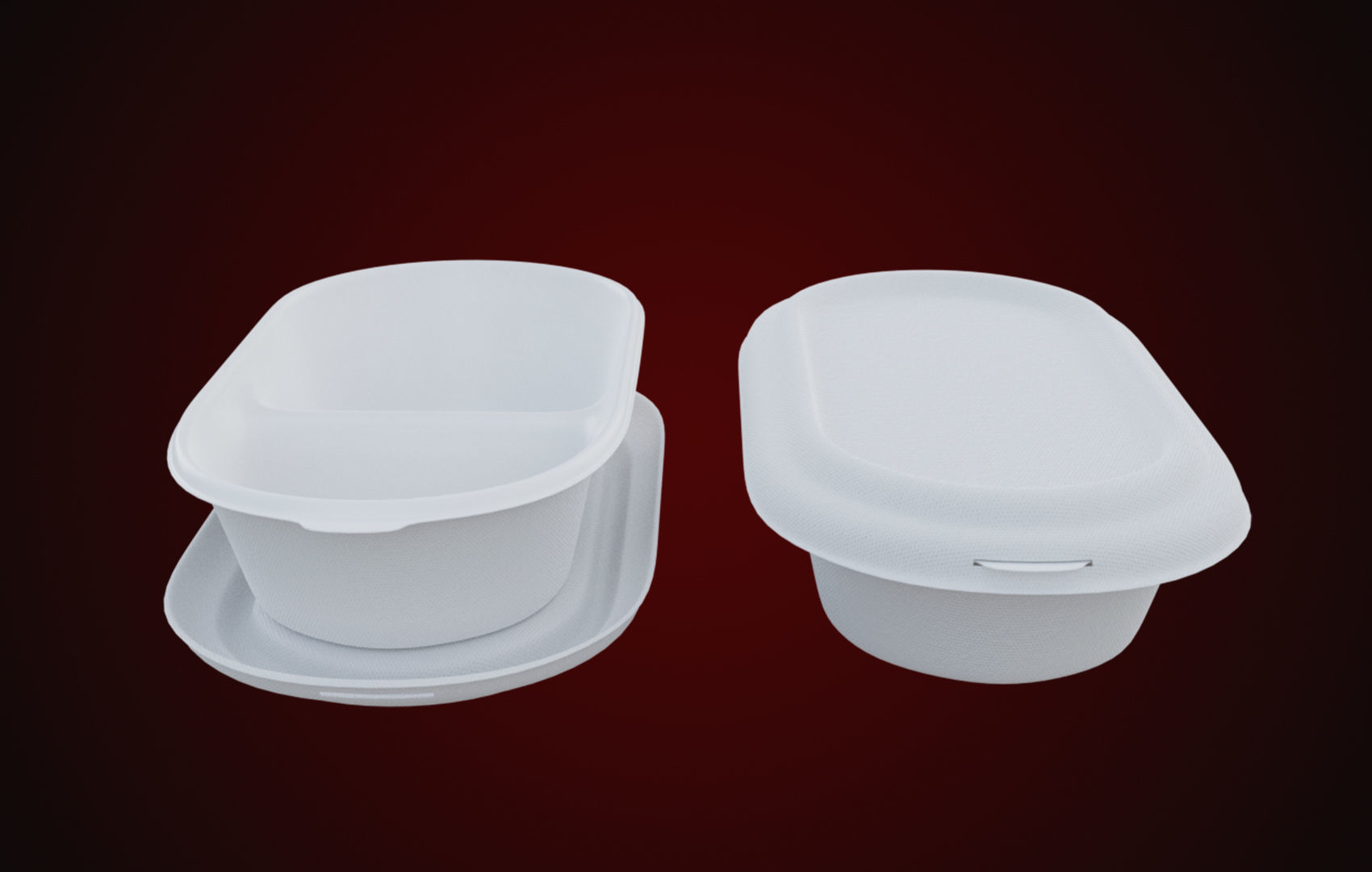 Styrofoam Disposable - Food Container 3D model_26