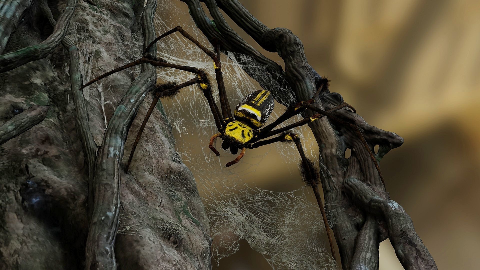 Trichonephila - Golden Silk Orb-weaver Low-poly 3D model_6