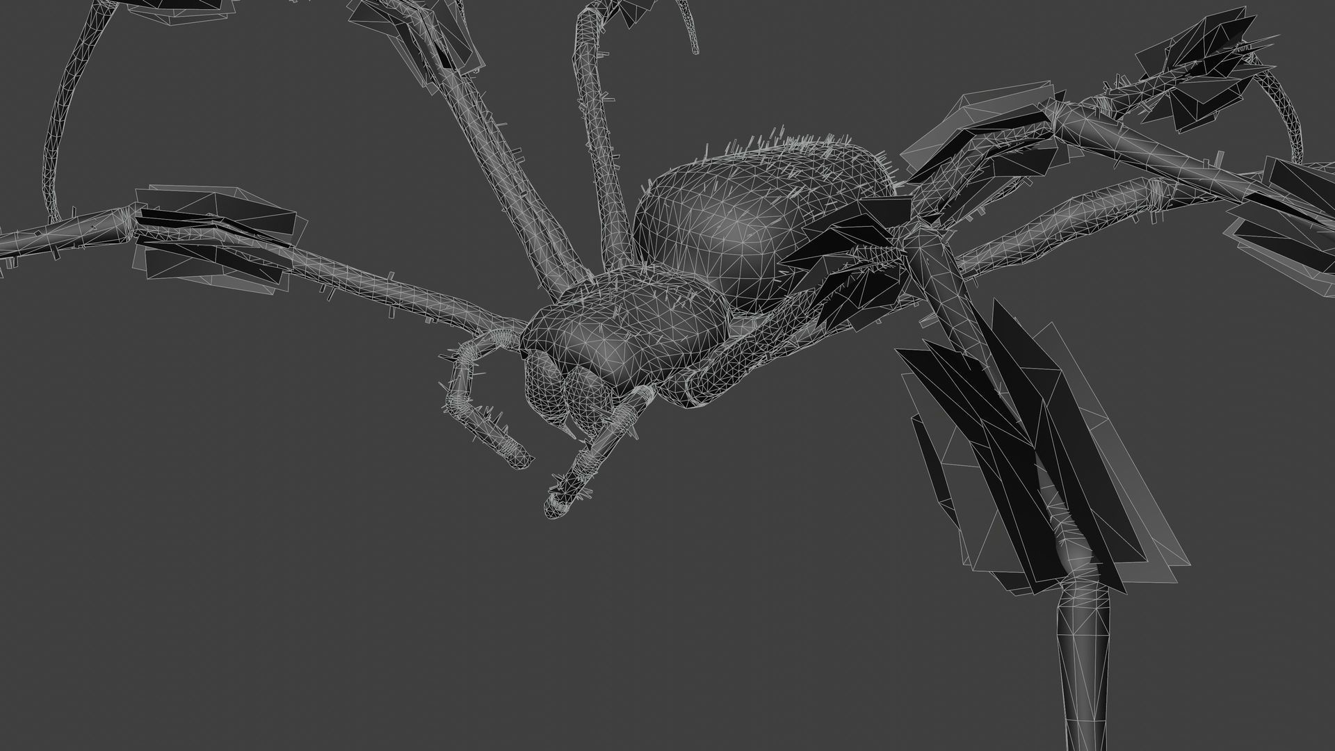 Trichonephila - Golden Silk Orb-weaver Low-poly 3D model_9