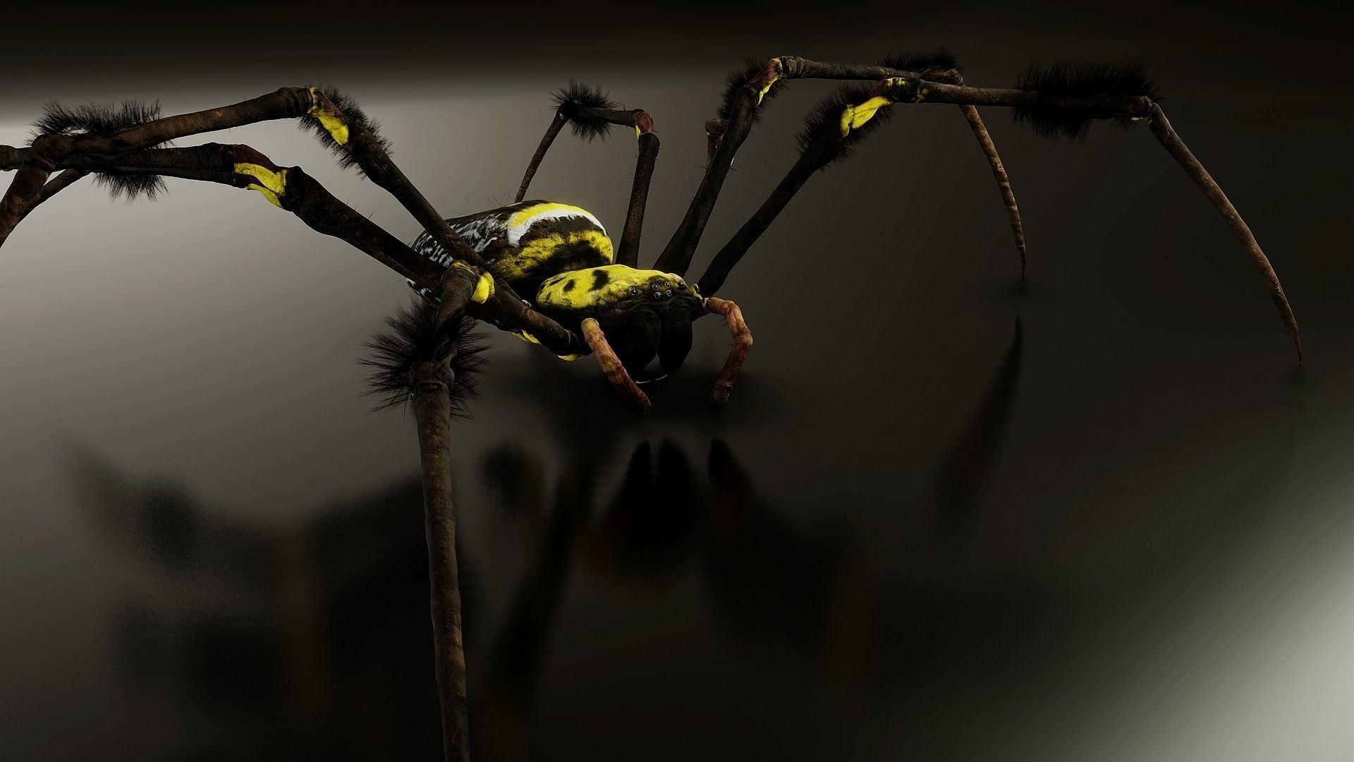 Trichonephila - Golden Silk Orb-weaver Low-poly 3D model_2